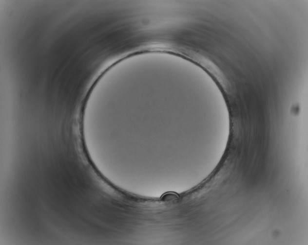 X0000102851428200809151117