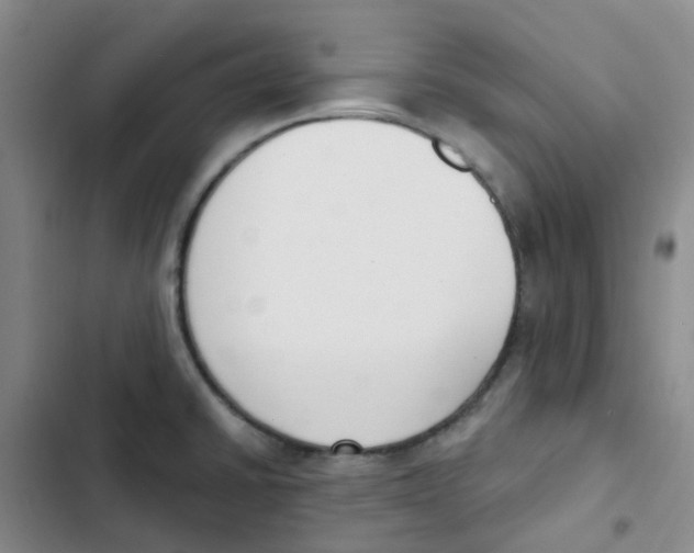 X0000102851430200809151117