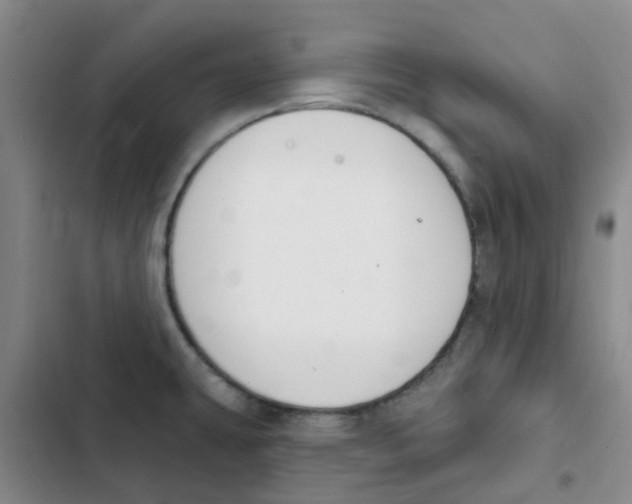 X0000102851431200809151117