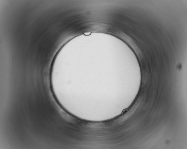 X0000102851434200809151117