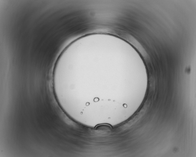 X0000102851436200809151117