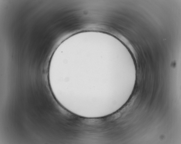 X0000102851437200809151117