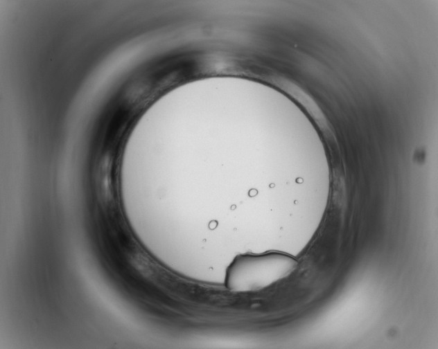 X0000102851439200809151117