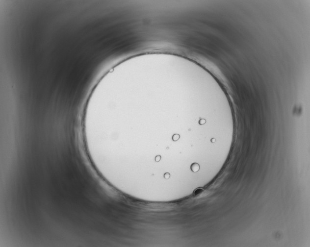 X0000102851440200809151117