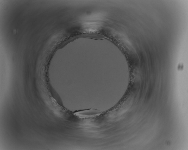 X0000102851441200809151116