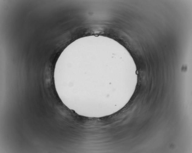 X0000102851442200809151116