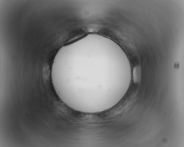 X0000102851443200809151116