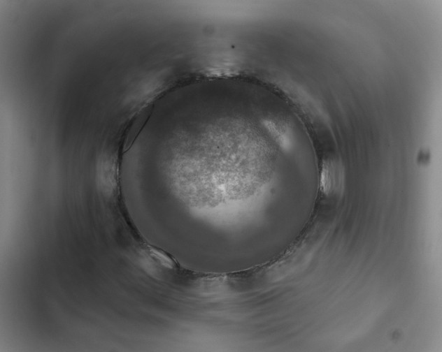 X0000102851444200809151116