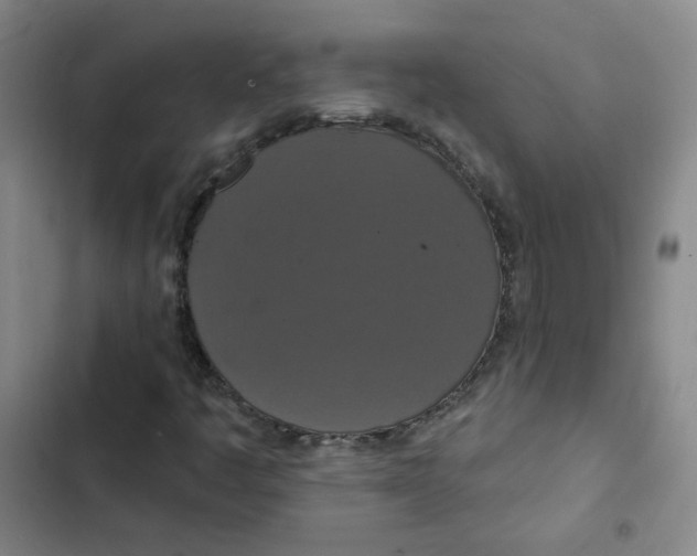 X0000102851445200809151116