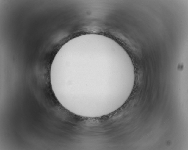 X0000102851446200809151116