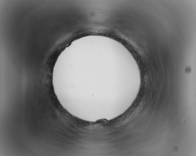 X0000102851447200809151116