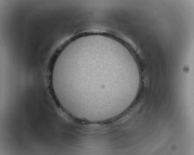 X0000102851448200809151116