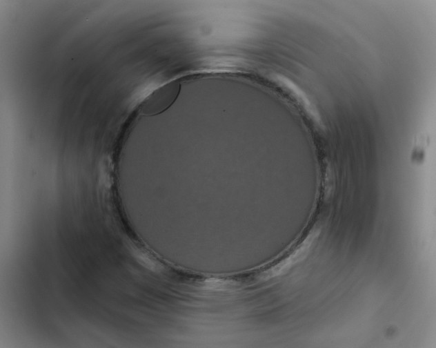 X0000102851449200809151116