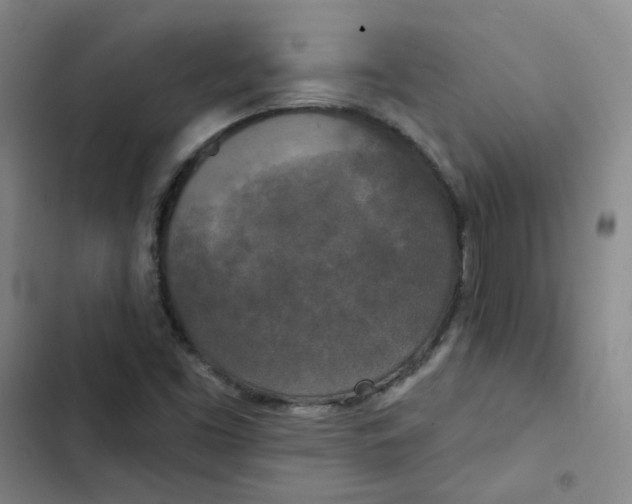 X0000102851453200809151116