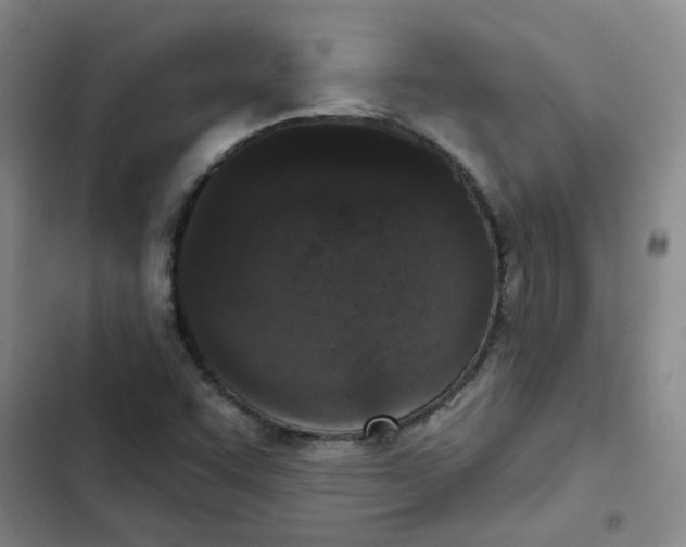 X0000102851455200809151116