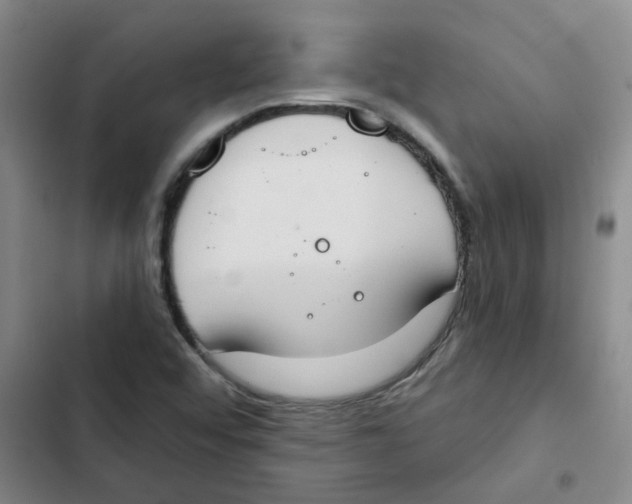 X0000102851456200809151116