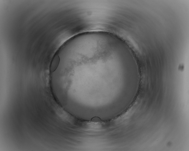 X0000102851457200809151116