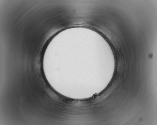 X0000102851458200809151116