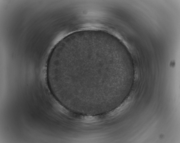 X0000102851459200809151116