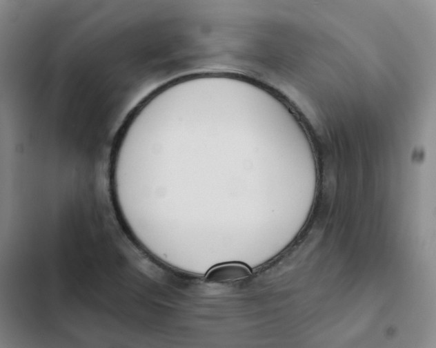 X0000102851460200809151116