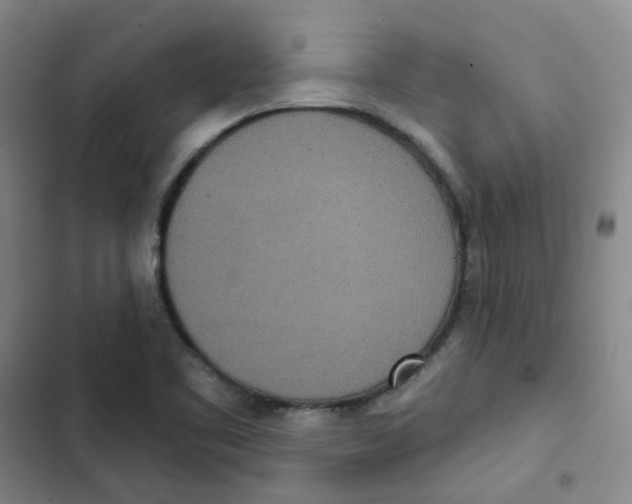 X0000102851461200809151116