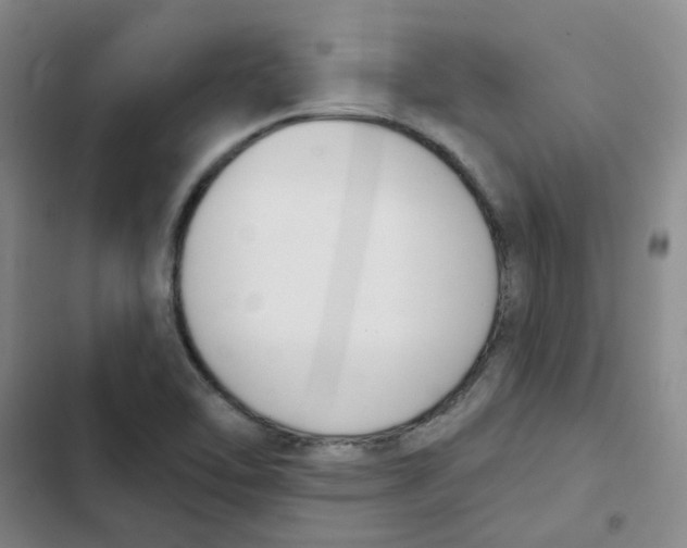 X0000102851462200809151116