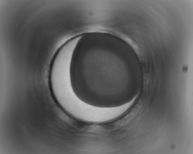 X0000102851463200809151116