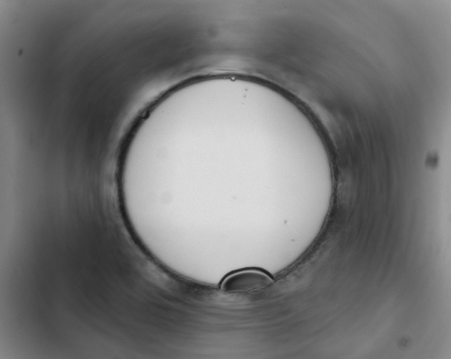 X0000102851464200809151116