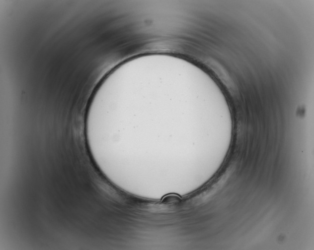 X0000102851465200809151116