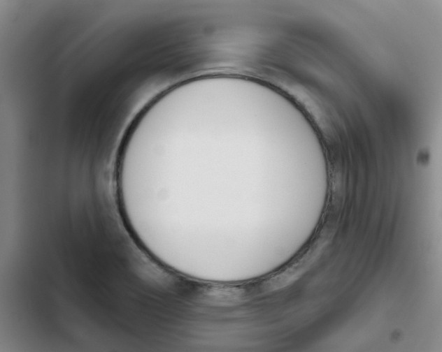 X0000102851466200809151116