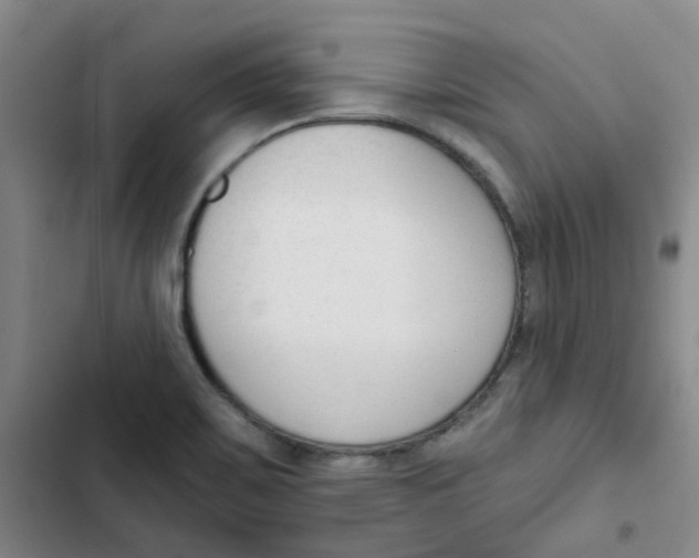 X0000102851467200809151116