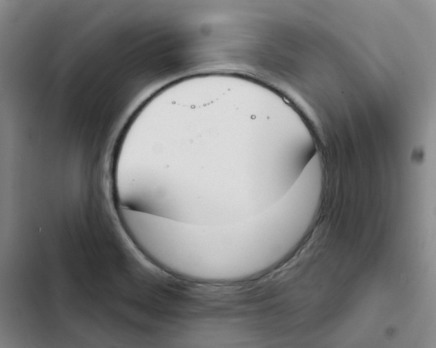 X0000102851468200809151116