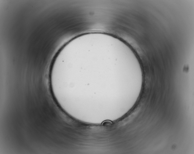 X0000102851469200809151116