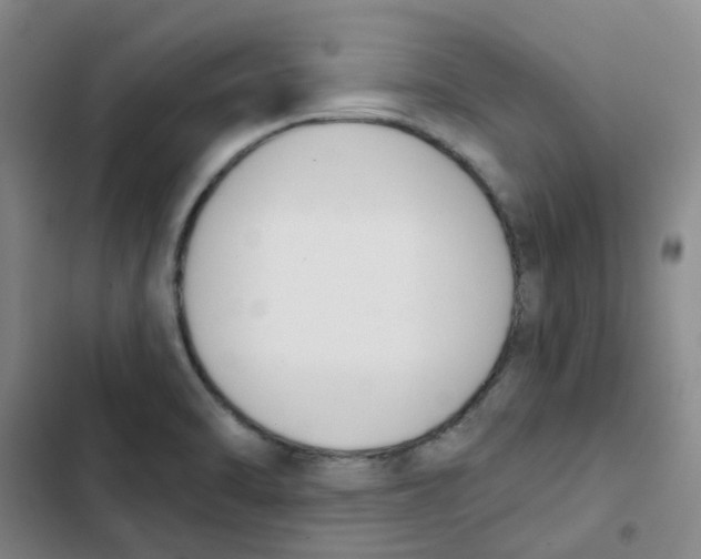 X0000102851470200809151116