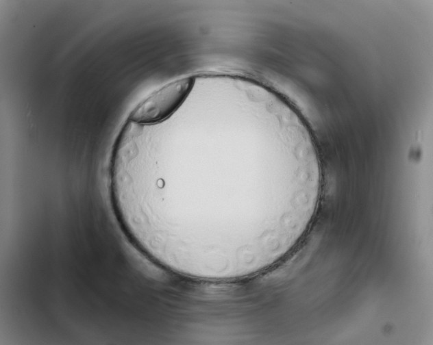 X0000102851471200809151116