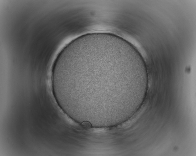 X0000102851472200809151116