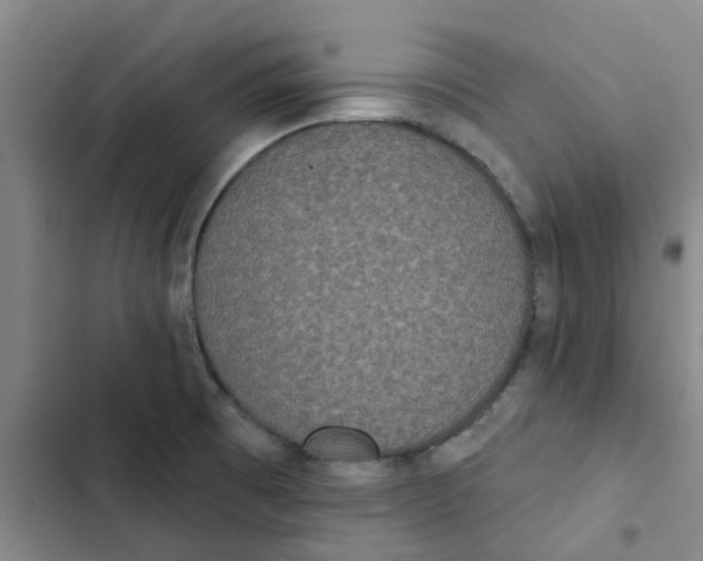 X0000102851473200809151116