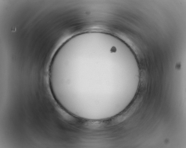 X0000102851474200809151116