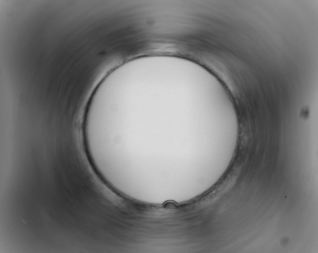 X0000102851475200809151116