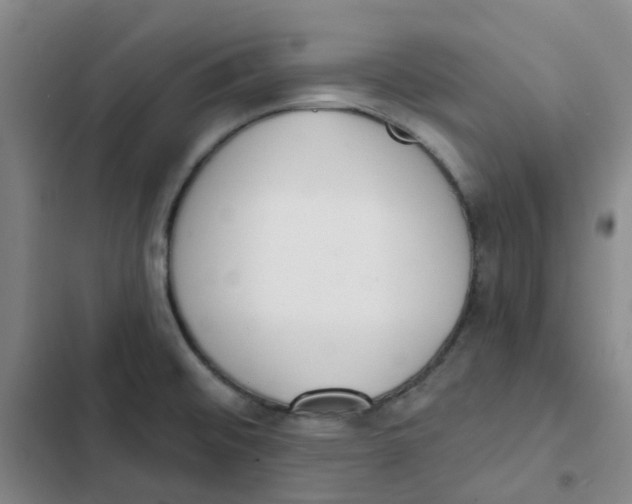 X0000102851476200809151116