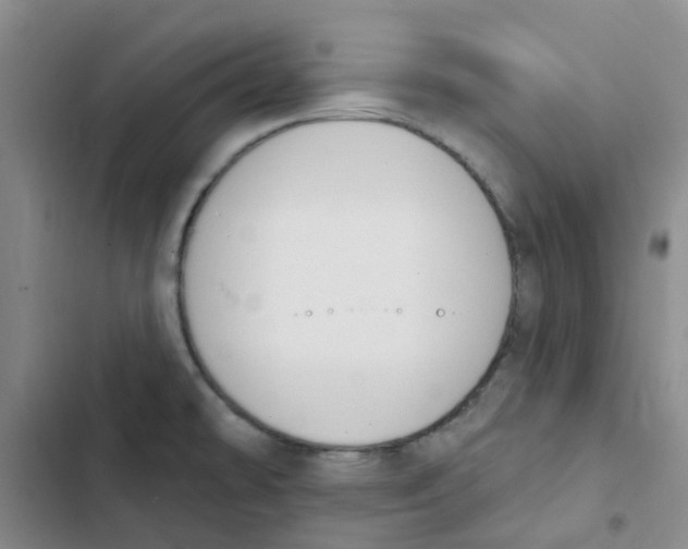 X0000102851478200809151116