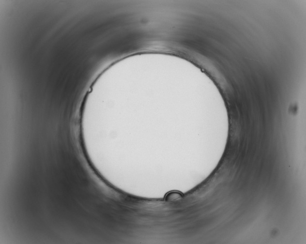 X0000102851479200809151116