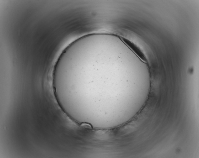 X0000102851480200809151116