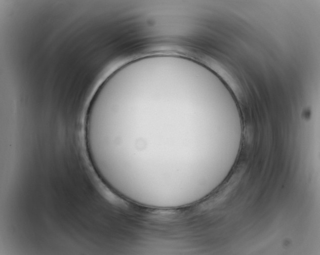 X0000102851482200809151116