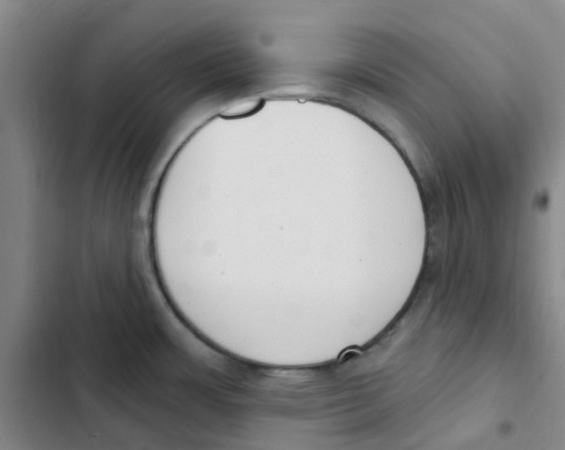 X0000102851483200809151116