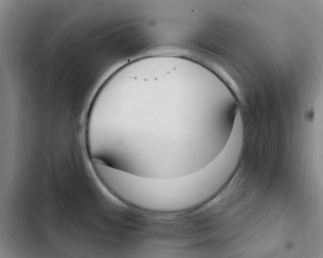 X0000102851484200809151116