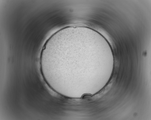 X0000102851485200809151116