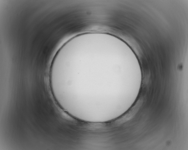 X0000102851486200809151116