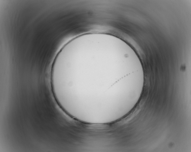 X0000102851487200809151116