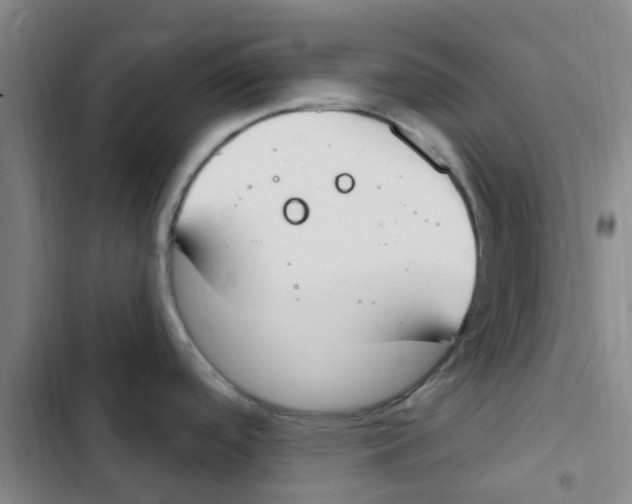 X0000102851488200809151116